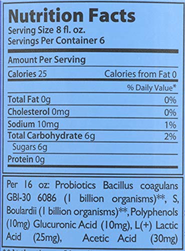Synergy The Real Kombucha, Gingerberry - 48oz
