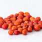 Sonora Chilo - (Chile Chiltepin Silvestre) Dried Chiltepin Pepper 1 Oz (28gr) Whole Tepin Pepper Chili Pods, Very Hot! Extra Spi