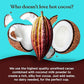 Four Sigmatic Calm Mushroom Cocoa Mix | Organic Dark Hot Cocoa Mix With Reishi Mushroom | Vegan, Dairy Free | 15 Servings