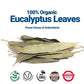 Akshit Organic Dried Eucalyptus Leaves, Caffeine-Free Relax Tea, 2.6 oz