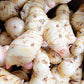 Fresh Galangal from Hawaii (1)