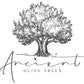 ANCIENT OLIVE TREES - Balsamic Vinegar | Aceto Balsamico di Modena IGP | Perfect for Any Sauce, Marinade, Salad, Fruit, or Veget