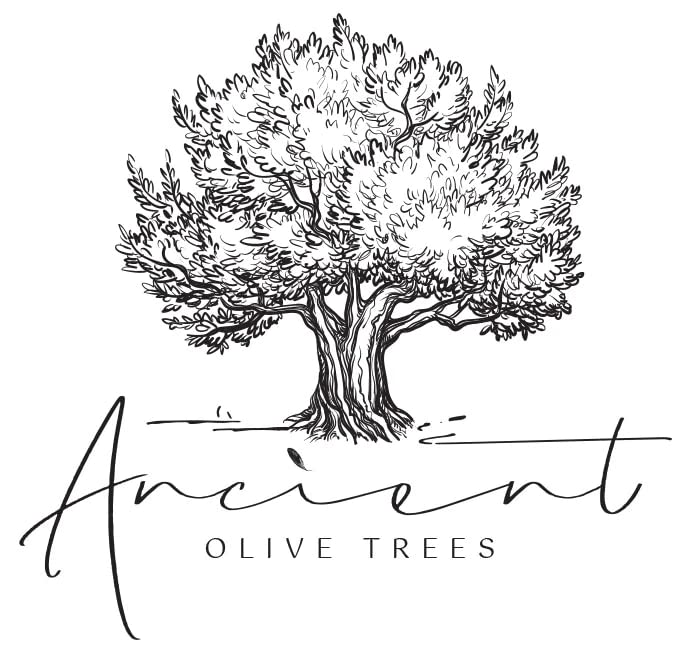 ANCIENT OLIVE TREES - Balsamic Vinegar | Aceto Balsamico di Modena IGP | Perfect for Any Sauce, Marinade, Salad, Fruit, or Veget
