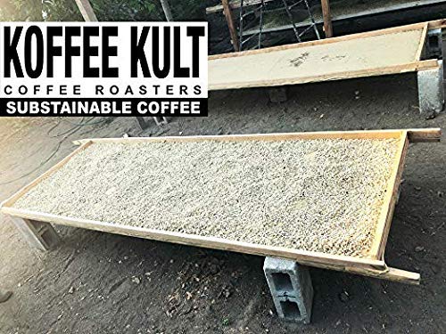 Koffee Kult Decaf Coffee Beans, Medium Roast, 100% Arabica, 2 Pound Bag, Swiss Water Process