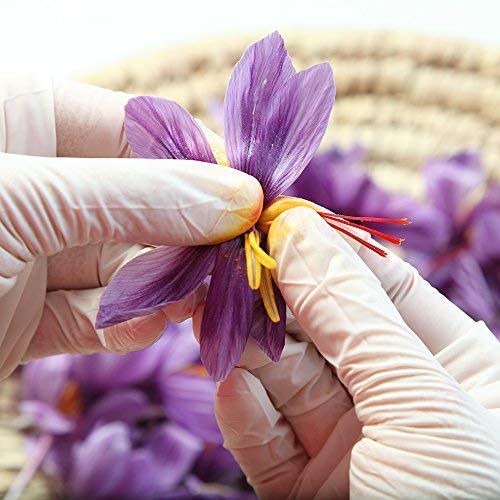 Zaffrus Premium Saffron Powder - 10 Count (1.125g/.04oz) for Cooking and Specialty Drinks