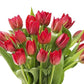 Kabloom Flowers -Valentine'S Day Collection - 20 Red Tulips Without Vase, Gift For Birthday, Sympathy, Anniversary, Get Well, Th