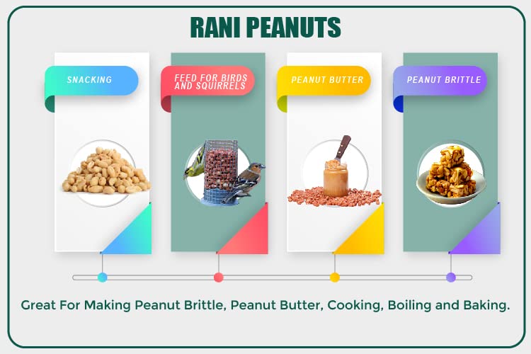 Rani Peanuts, Raw Whole With Skin (uncooked, unsalted) 96oz (6lbs) 2.72kg Bulk PET Jar ~ All Natural | Vegan | Gluten Friendly |