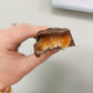 Vegan, Gluten Free, Nut Free | Chocolate Candy Nougat and Caramel Bars (3 Pack) | Dairy Free, Soy Free, Sesame Free | Allergy Fr