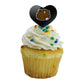 GRAPHICS & MORE Cupcake Toppers Set of 6, Acrylic, Minot State University, Heart Design, One Size