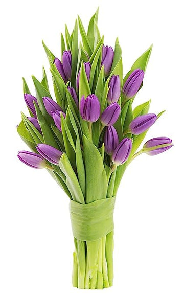 KaBloom Flowers - Bloomia collection - 15 Purple Tulips Without Vase - Gift for Birthday, Sympathy, Anniversary, Get Well, Thank