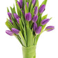 KaBloom Flowers -Valentine's Day Collection - 10 Purple Tulips without vase, Gift for Birthday, Sympathy, Anniversary, Get Well,