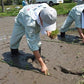 Shinmei Toyama Koshihikari Japanese Short Grain, 11.0 Lb