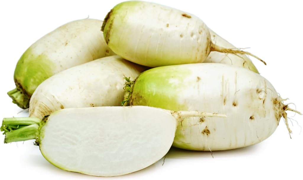 Generic Fresh Whole Korean Radish (Mu) Produce Vegetable US Grown [4 lbs]