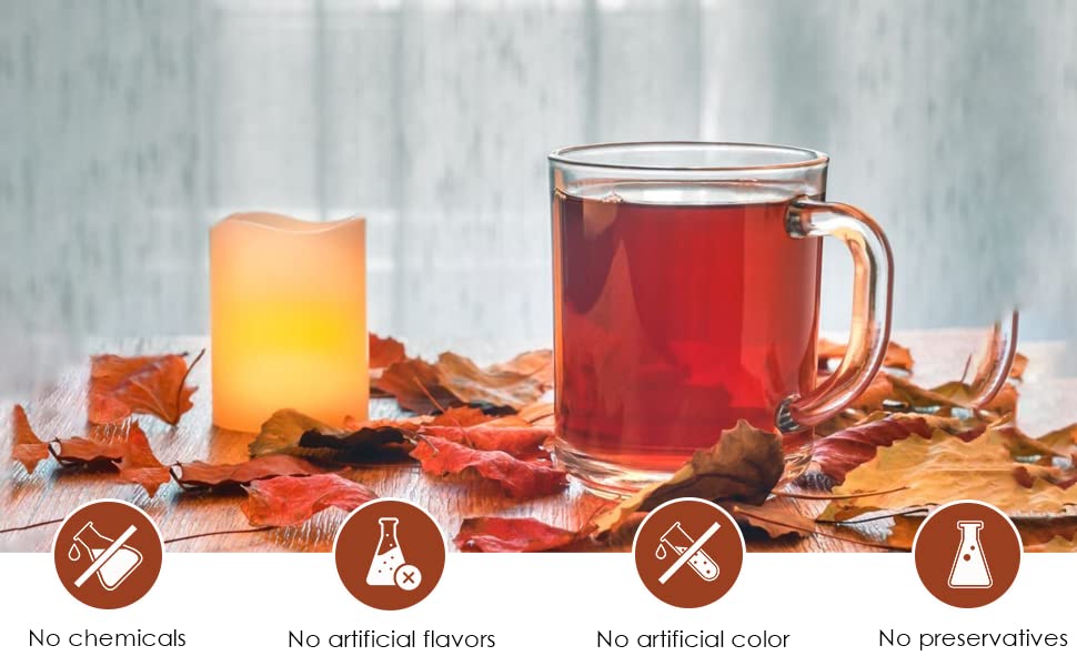 Turkey Hill Sugarbush Premium 100% Pure Canadian Maple Infused Tea (Pack Of 2, 20 Count)