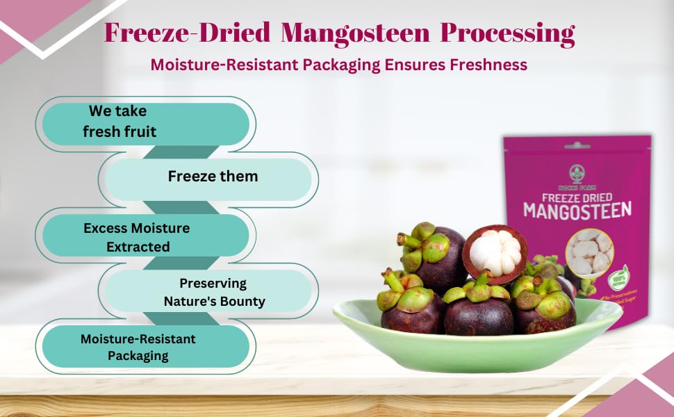NOKKI FARM Freeze Dried Mangosteen 50g | Superfood, 100% Natural, No Sugar Added, Vegan, Non-GMO, Crispy Fruits