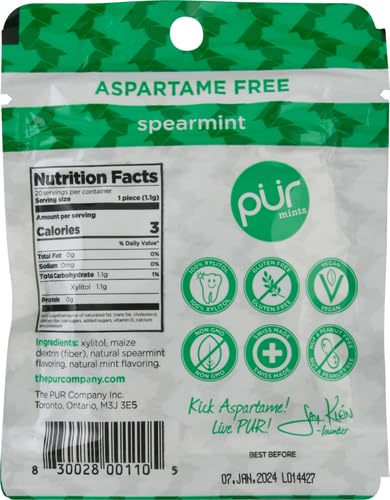 Pure Mints Gum Mint Spearmint, 0.77 Oz, 0.83 Pound