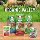 Organic Valley Grassmilk Half and Half - Organic, Grass Fed, Non GMO - 16 oz (Pint)
