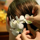 Miami Fresh Orchid Loose Bloom Perishable Flowers Orchidclub Usa Sunne Tropical Diy Lei, Food & Drink Decoration (100 White)