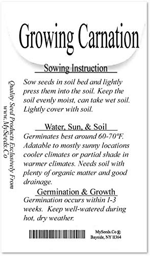 Myseedsco Big Pack - Clove Carnation Seed (5,000 Seeds) - Dianthus Caryophyllus Chabaud Mix - Edible Flower Seeds (Big Pack - Cl
