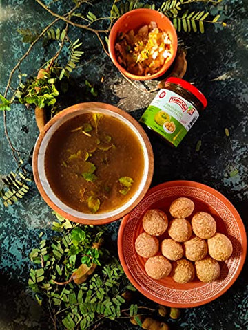 Tamicon 225 Grams Pani Puri Instant Paste