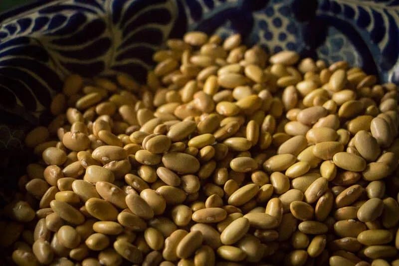 Mayocoba Peruano Dry Beans Frijoles | Bulk (1 Pound)