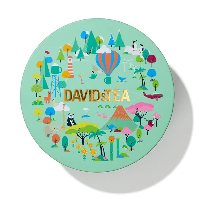 Davidstea 36-Sachet Travel With Tea Sachet Teas Wheel – Around-The-World Tea Sampler Gift Set | 6 Loose-Leaf Flavours: Organic Japanese Sencha, Organic Saigon Chai, Maple Chais, Hazelnut Chocolate, Lavender Earl Grey & Horchata Chai
