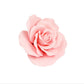 O'Creme Garden Roses Gumpaste Flower Set - Pink - Edible Flowers For Cake Decorating - Sugar Paste Flower Decorations For Cakes,