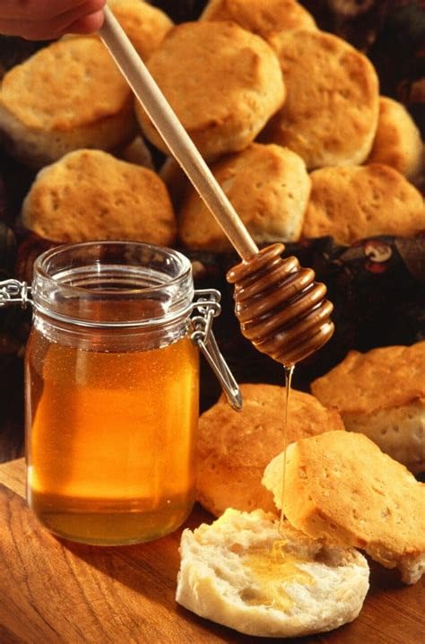 Honey Lovers Gift Pack - 50 Individual Packets Of Pure Honey - Perfect For Tea, Coffee, Travel, And Snacking