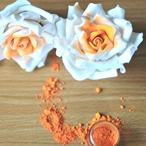 Luster Dust - Classic Orange (4G 1X Jar) | Edible Vegan Dust & Paint For Cake Decorating, Ice Cream, Desserts, Cocktails And Bev