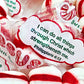 Scripture Candy, Jesus Sweetest Name I Know Christmas Tin With Soft Peppermint Candy, 4 Ounces