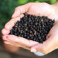 El The Cook Whole Kababchini/Cubeb(Long Tailed Pepper)Dry Fruit|Fresh,Pure&Natural,Vegan,Gluten Free,Non-Gmo,Resealable Bag|Kaba