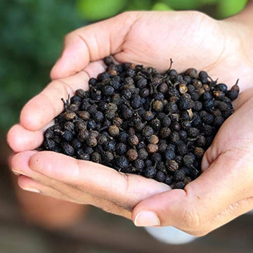 El The Cook Whole Kababchini/Cubeb(Long Tailed Pepper)Dry Fruit|Fresh,Pure&Natural,Vegan,Gluten Free,Non-Gmo,Resealable Bag|Kaba