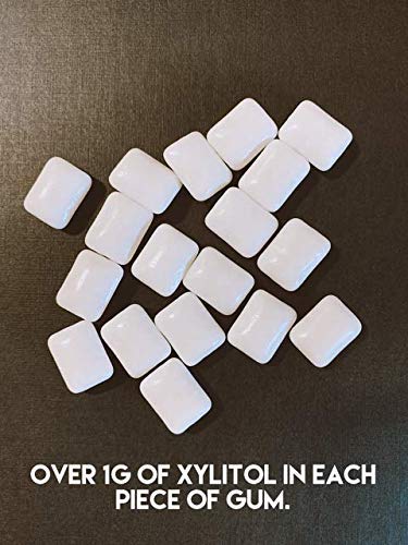 Xyloburst Green Tea Sugar Free Gum - Natural Xylitol Chewing Gum - Bulk 500 Count Bag - Non Gmo, Vegan, Aspartame Free, Keto Fri