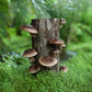 100 Shiitake 100 Mushroom Plug Spawn Edible Mycelium Plugs