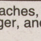 Bonnies Jams, Peach Ginger Jam, 8.75 Ounce