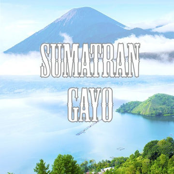 Sumatra Gayo Coffee, Whole Bean, Low Acid, Fair Trade, Fresh Roasted, 5 Lbs