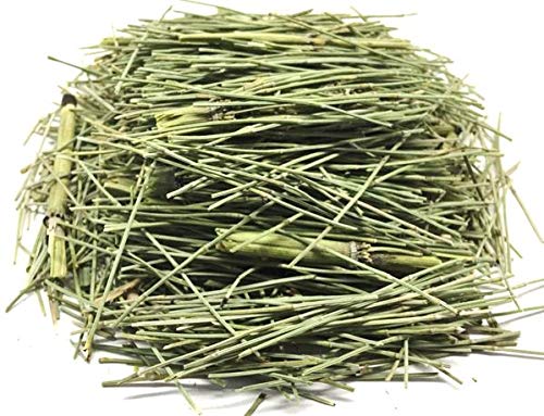 Nuestra NS Salud Horsetail Herbal Tea, 100% Natural, Caffeine Free, 30g (1.05oz) Zip-Lock Bag