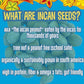 BRASS ROOTS Organic Incan Protein Seeds, Salted, 10 oz - High Protein, Nut Free, Omega 3, Gut Health Support