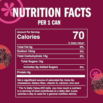 IZZE Sparkling Juice Beverage Blend, Blackberry, No Sugar Added, 8.4 FL OZ, 6 Cans
