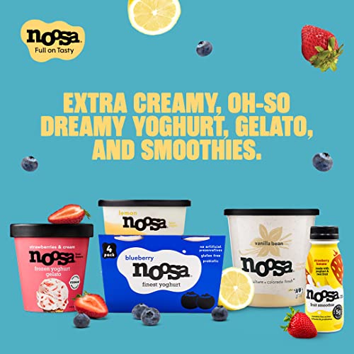 Noosa Yoghurt, Pumpkin, Whole Milk Yogurt, Grade-A Pasteurized, Gluten Free, Probiotic, 8 Ounce