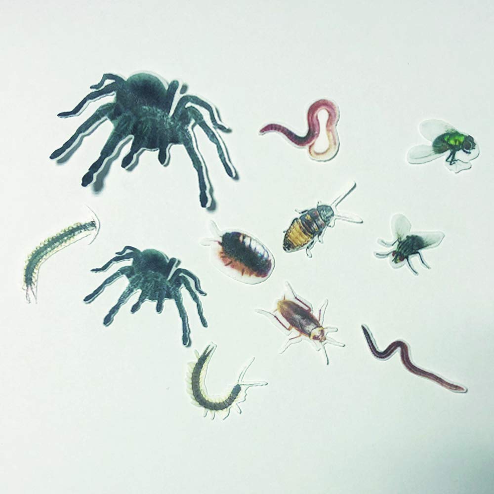 70X Edible Wafer Spider, Bug Cupcake Topper, Pre-Cut Funny Party Cake Decoration