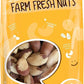 Freshly Roasted Shelled Brazil Nuts with Coconut Oil and Pink Himalayan Salt (1 Lb.) - Healthy Southern Tastiness - Small Batch 