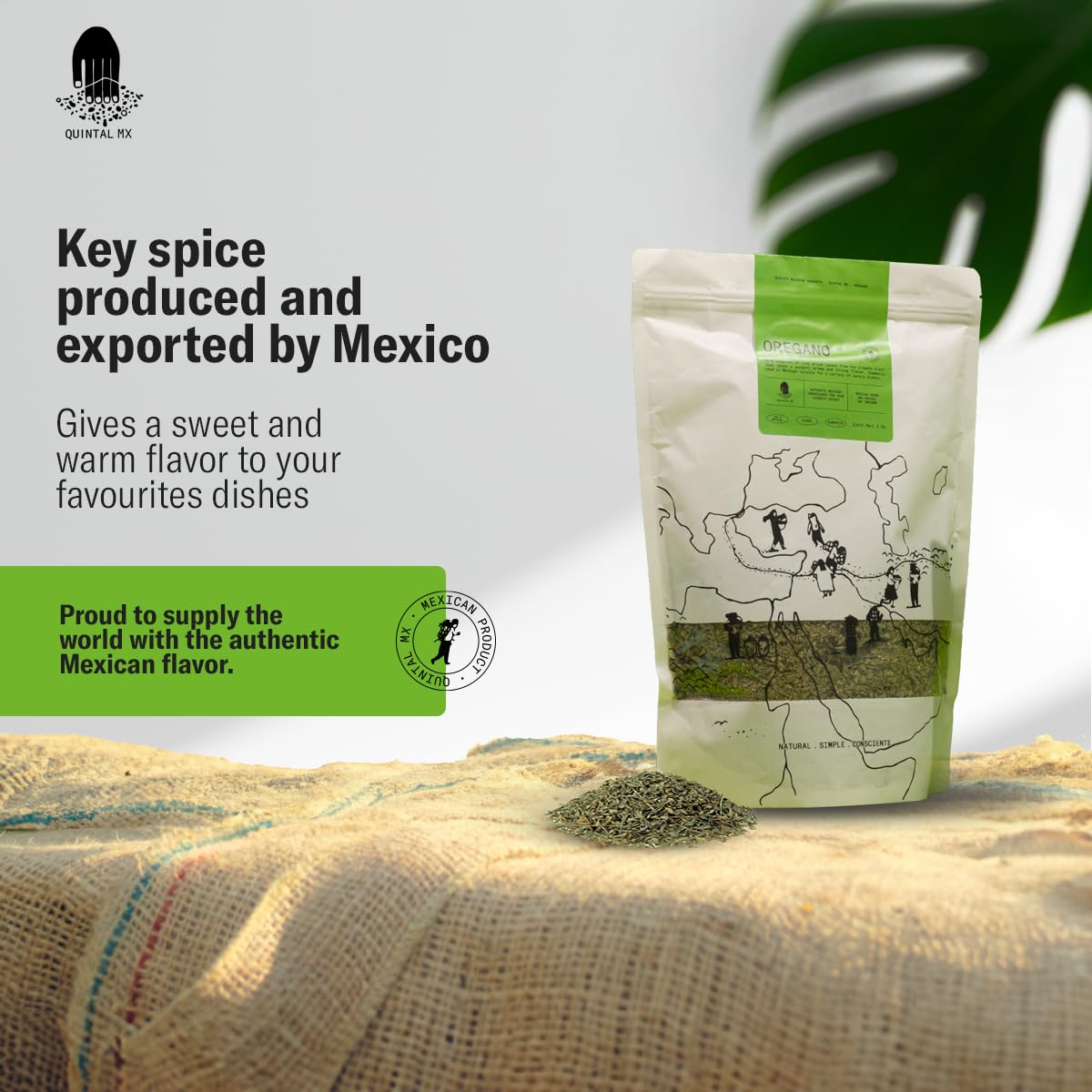 QUINTAL MX Dried Oregano Leaves - Fresh & Fragrant Mexican Seasoning - 16 Oz
