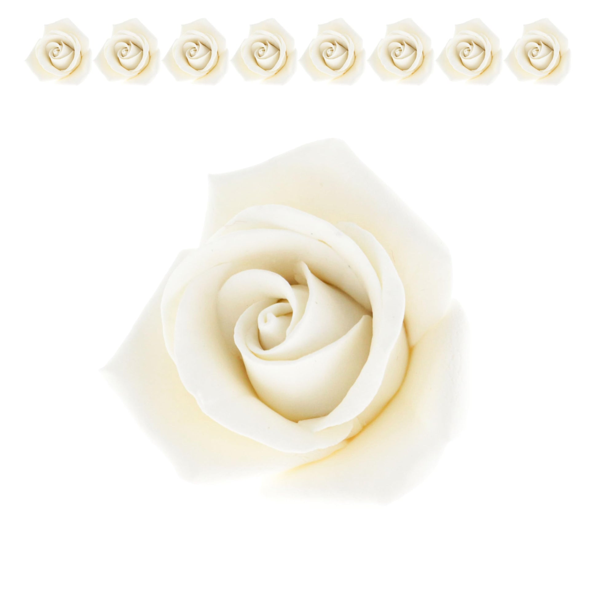 Global Sugar Art Peace Rose Sugar Cake Flowers - White, 2 Inch, 8 Count, Model 37823 by Chef Alan Tetreault