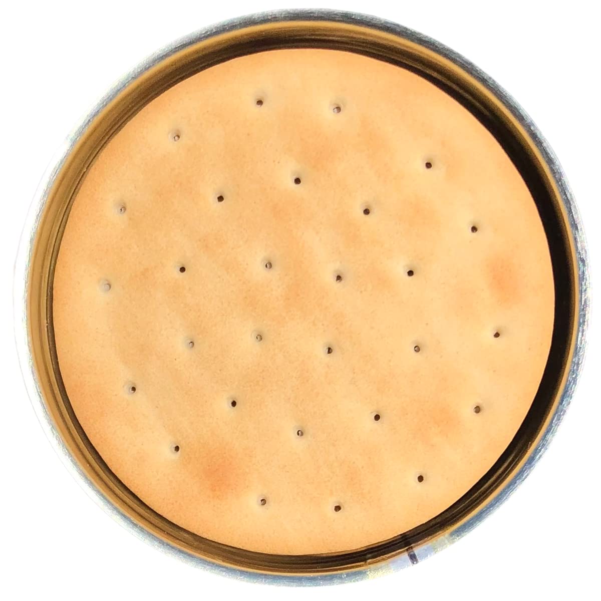 Future Essential Sailor Pilot Bread Crackers | Ship'S Biscuit | Emergency Survival Food | Long Term Food Storage (30 Years Shelf