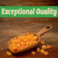 Sincerely Nuts Diced Mangos (2 LBS)-Nutritious and Satisfying Tropical Fruit-Healthy Alternative for Sweet Tooth- Gluten-Free Fo