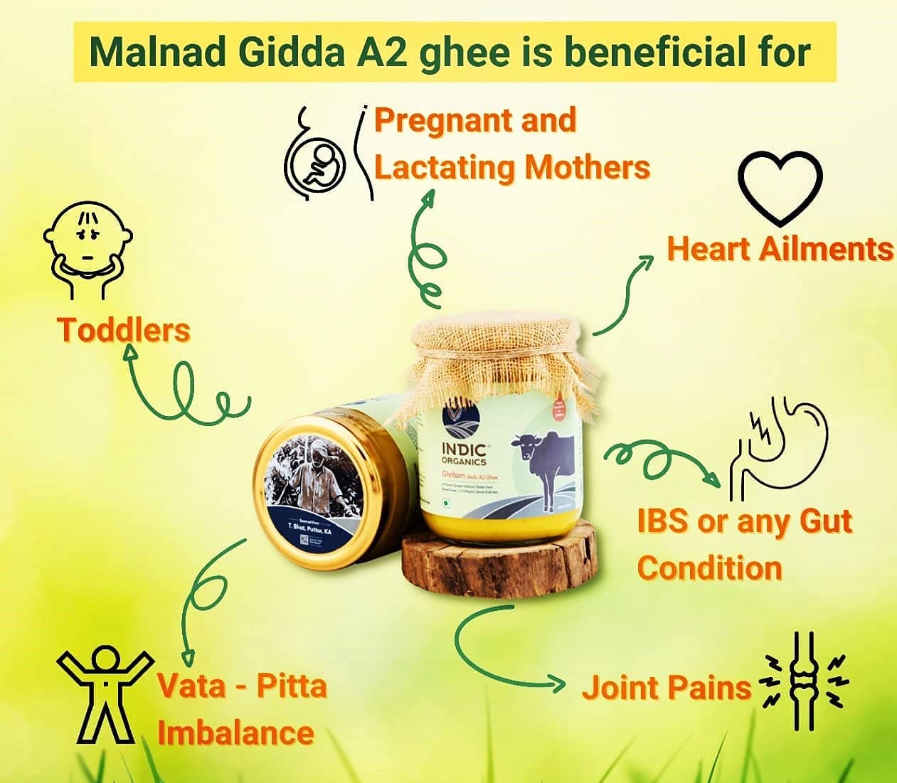 Indic Organics Forest Grazing Rare Malnad Gidda Desi Cows A2 Ghee From Western Ghats Of Karnataka Ayurvedic & Medicinal Bilona G