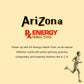 Arizona   Energy Drink, Big Can, 22 Fl Oz, Pack of 12