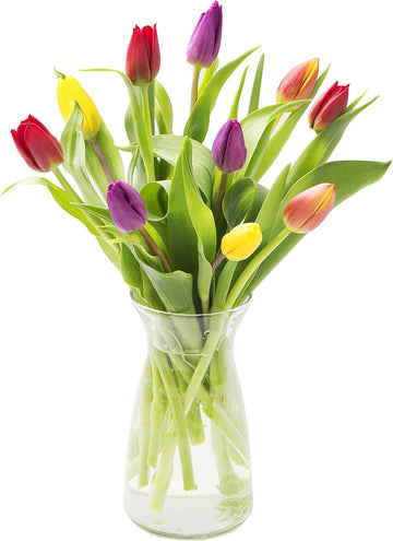 KaBloom Flowers -Valentine's Day Collection - 10 Assorted Tulips with vase, Gift for Birthday, Sympathy, Anniversary, Get Well, 