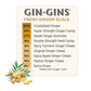 The Ginger People Sweet Ginger Gummies – Natural Ginger Candy – 1 lb Bag (Pack of 12)